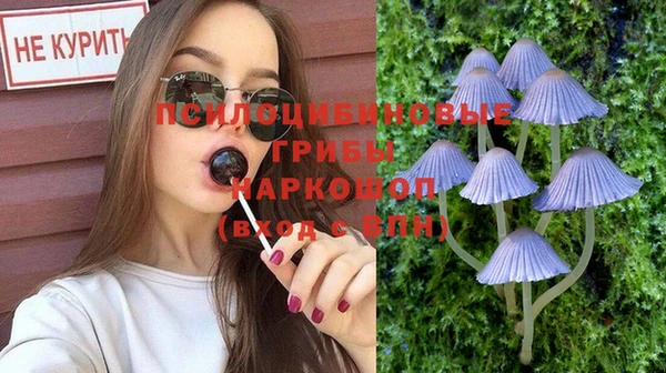 кокс Алексин