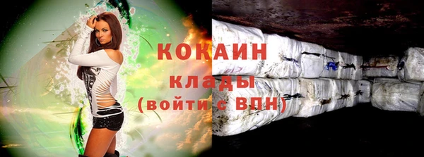 кокс Алексин