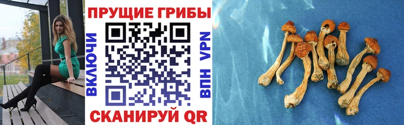 Галлюциногенные грибы ЛСД  Себеж 